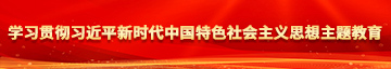 大屌插入小骚穴啊啊啊太爽了在线观看视频学习贯彻习近平新时代中国特色社会主义思想主题教育