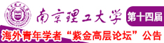 快点想要啊啊啊流水宝宝南京理工大学第十四届海外青年学者紫金论坛诚邀海内外英才！